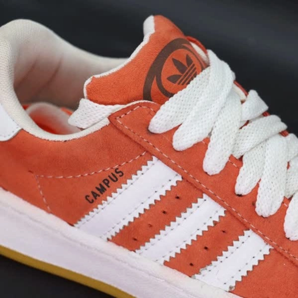 گالری تصویر 2