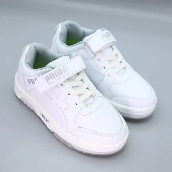 گالری تصویر 1