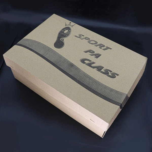 کفش اسپرت باشگاهی دو نایک پاکلاس