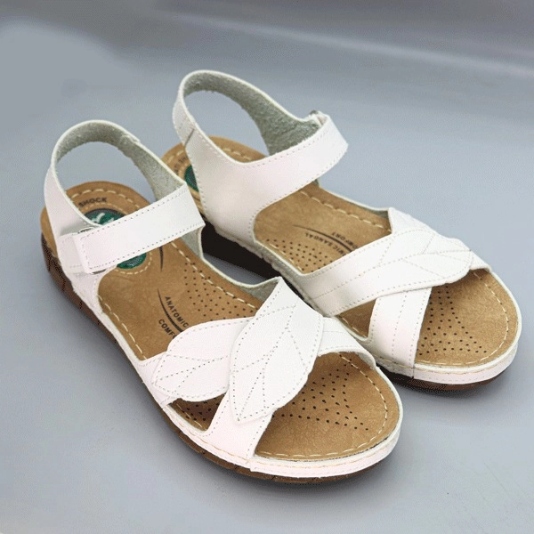 گالری تصویر 2