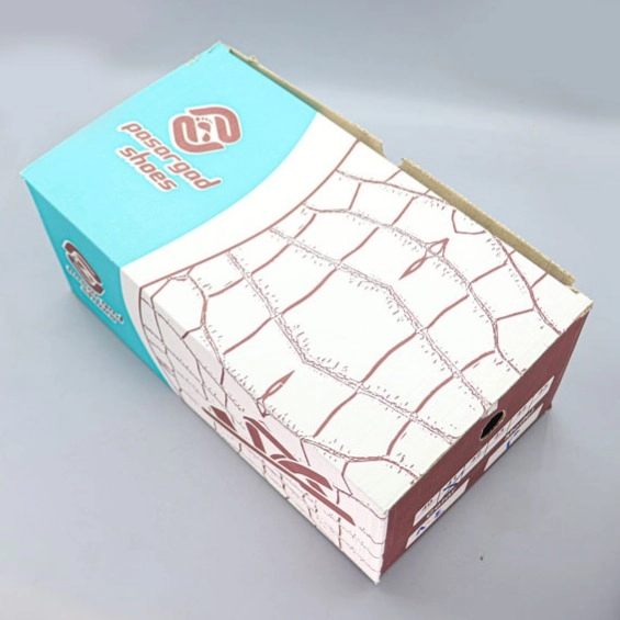 صندل طبی چسبی مردانه پاسارگاد 804