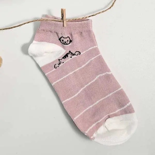 گالری تصویر 2