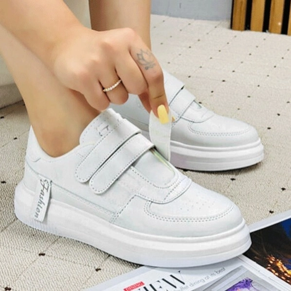 گالری تصویر 1