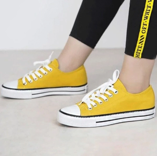 گالری تصویر 2