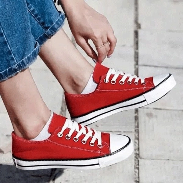 گالری تصویر 3