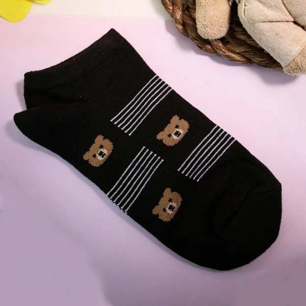 گالری تصویر 1