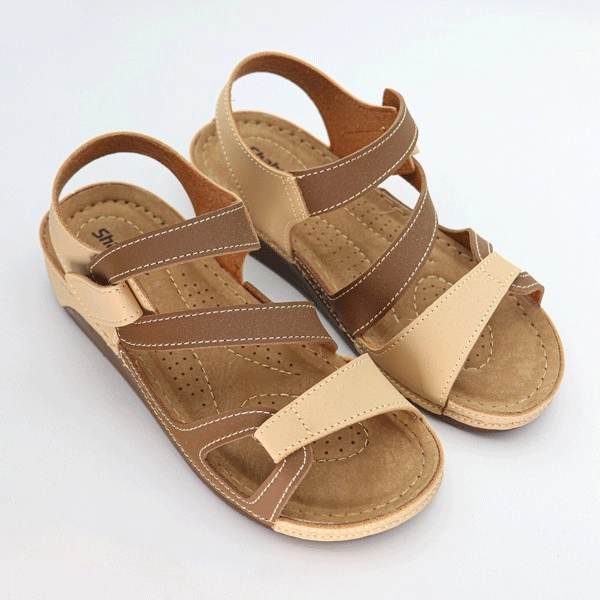 گالری تصویر 2