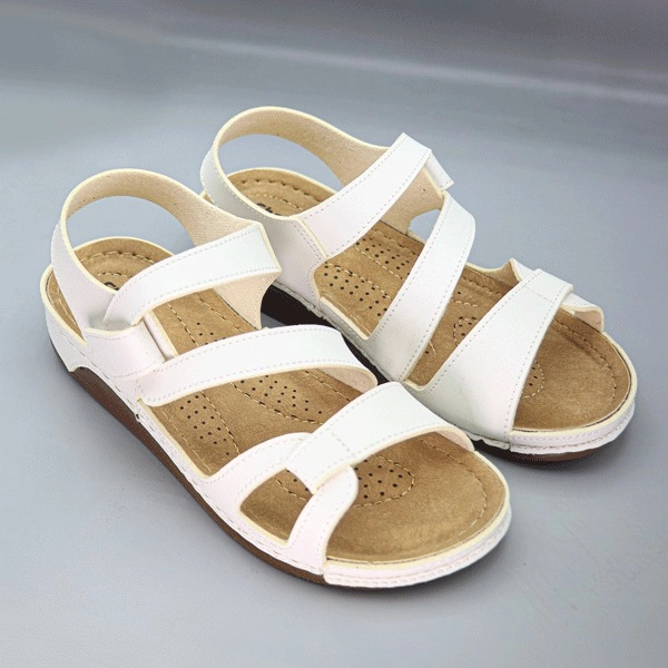 گالری تصویر 1