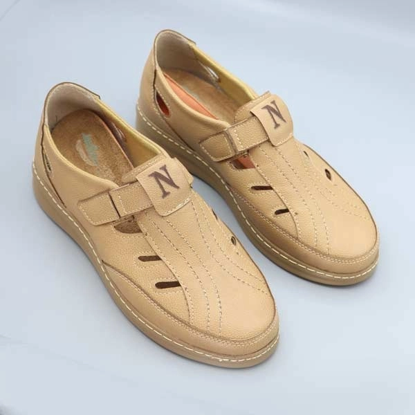 گالری تصویر 2